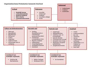 Organogram